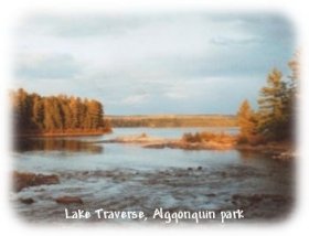 Lake Treverse: Algonquin Park